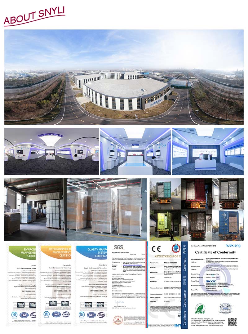 About SNYLI About SNYLI